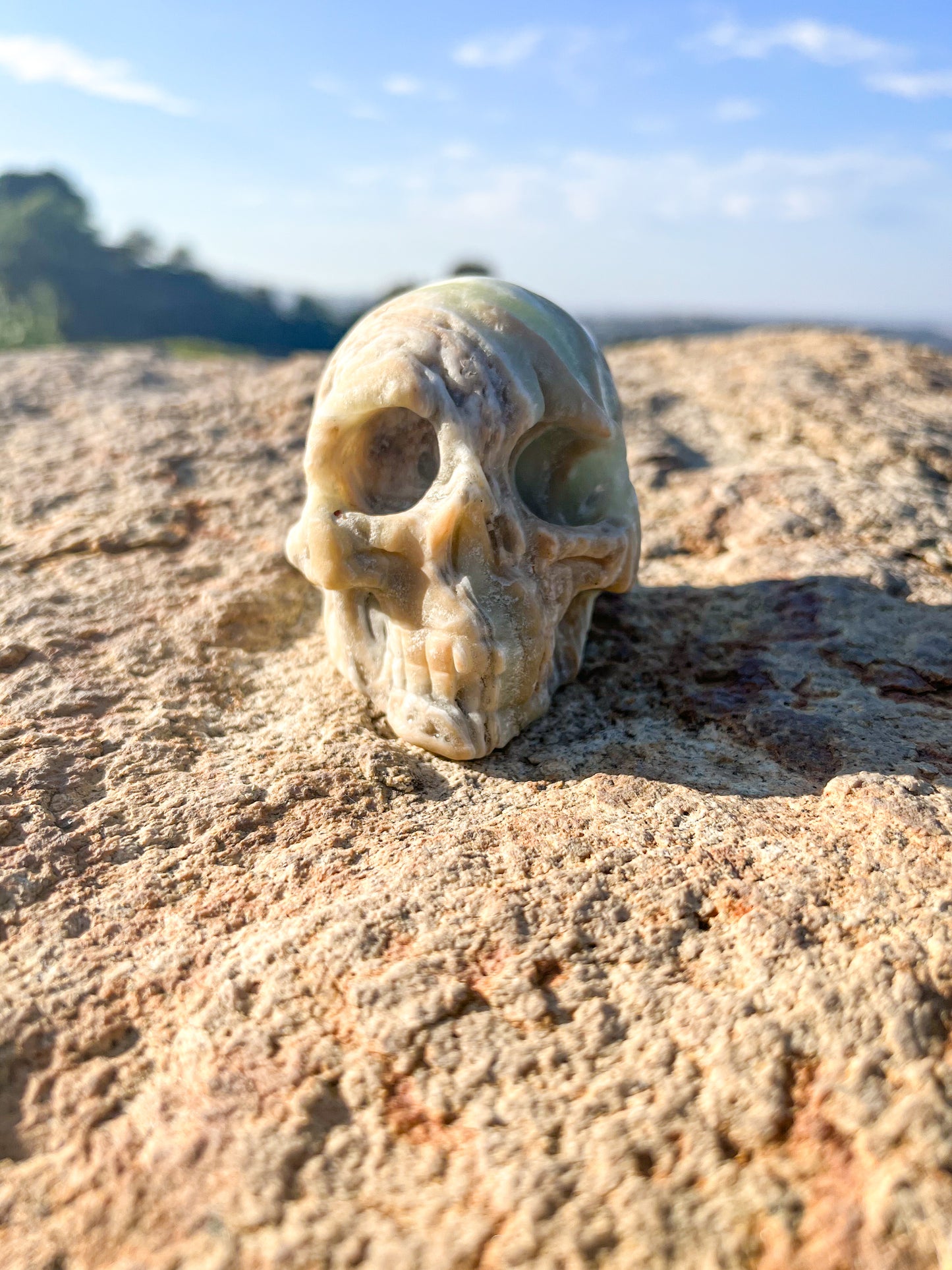 Caribbean Calcite Skull