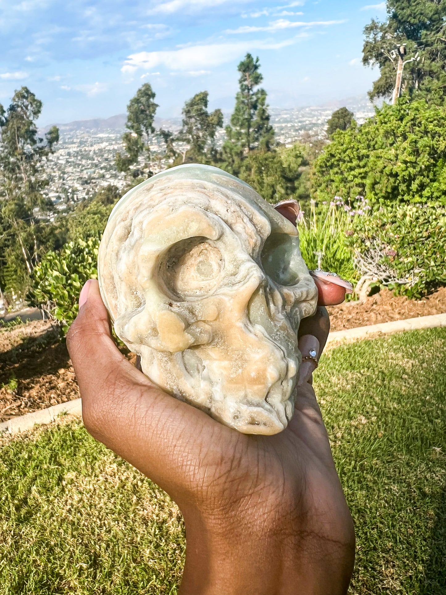 Caribbean Calcite Skull