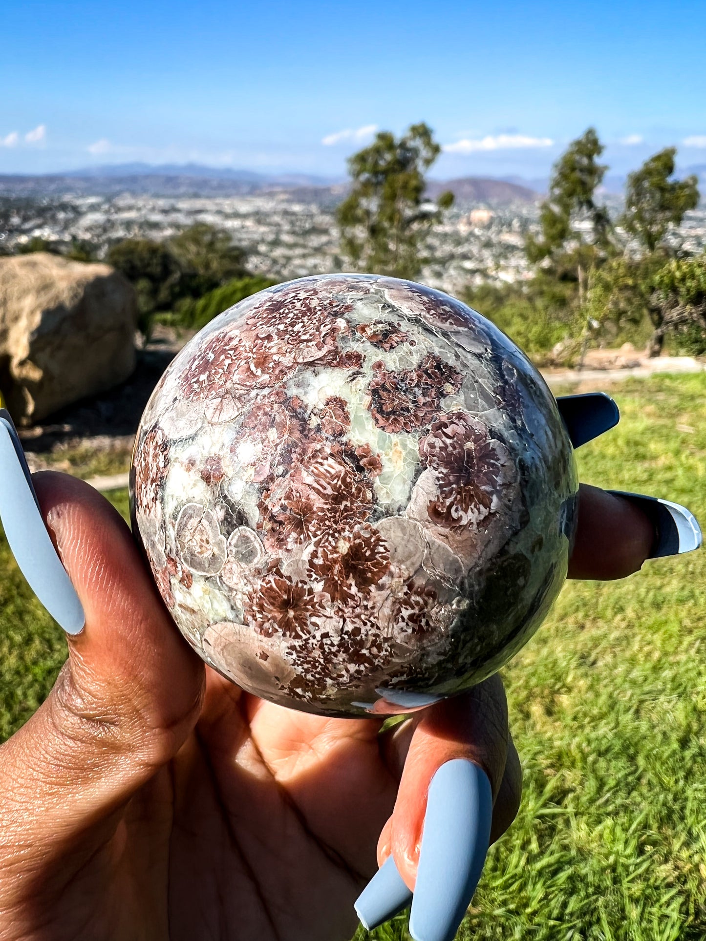 Cherry Blossom Spheres