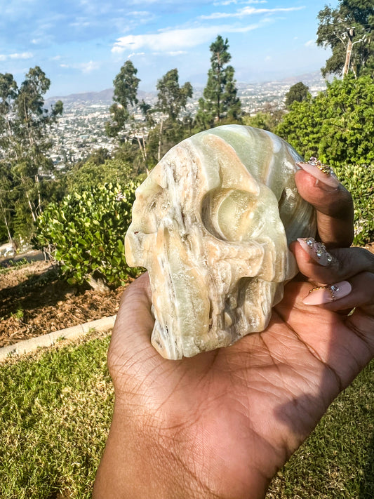Caribbean Calcite Skull